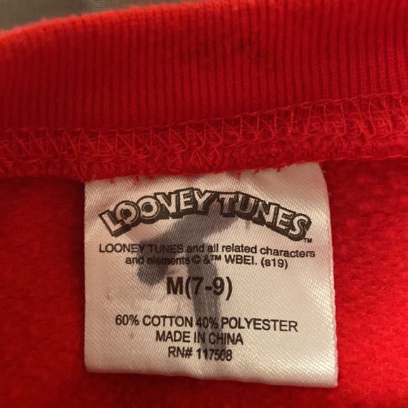 Looney Tunes Classic Character Sweatshirt - Picture 4 of 5